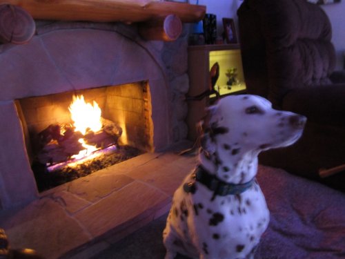 Lucky by the fire